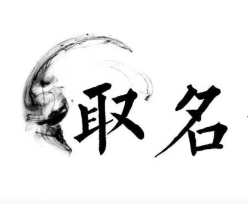  吕梁宝宝取名 大师一对一人工起名